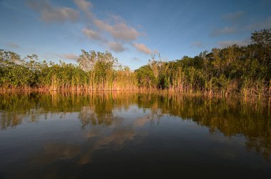 Everglades Ulusal Parkı 'nda 9 Mil Gölet Bulutu ve yansımaları.