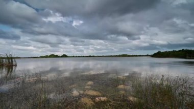 Everglades Ulusal Parkı 'ndaki Sweet Bay Pond üzerinde fırtına bulutlarının zamanı 4K.