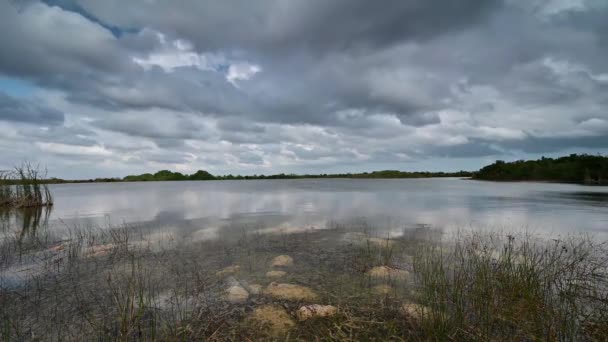 Timelapse de nuvens de tempestade sobre Sweet Bay Pond em Everglades National Park 4K. — Vídeo de Stock