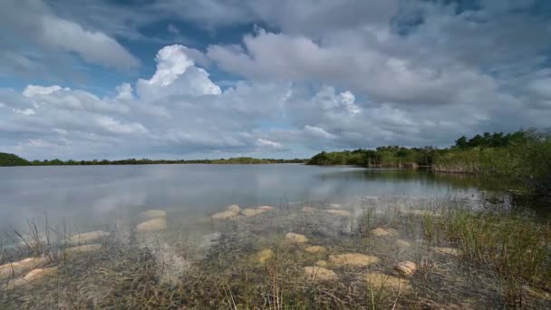 Timelapse de nuvens de tempestade sobre Sweet Bay Pond em Everglades National Park 4K. — Vídeo de Stock