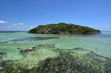 Miami, Florida 'daki Biscayne Ulusal Parkı' nda Asker Anahtarı.