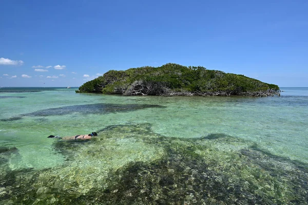 Katona Kulcs a Biscayne Nemzeti Parkban Miami mellett, Floridában. — Stock Fotó