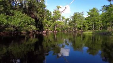 Florida, Fisheating Creek 'te yaz kayağı, 4K.