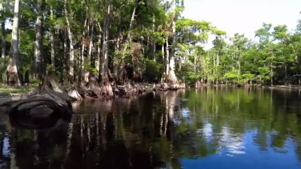 Florida, Fisheating Creek 'te yaz kayağı, 4K. — Stok video