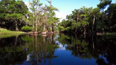 Florida, Fisheating Creek 'te yaz kayağı, 4K.
