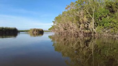 Everglades Ulusal Parkı 'ndaki Nine Mile Pond' da öğleden sonra kano, Florida 4K.