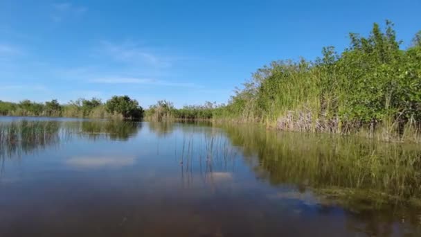 Popołudniowe spływy kajakowe na Nine Mile Pond w Parku Narodowym Everglades, Floryda 4K. — Wideo stockowe