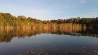Everglades Ulusal Parkı 'ndaki Nine Mile Pond' da öğleden sonra kano, Florida 4K.