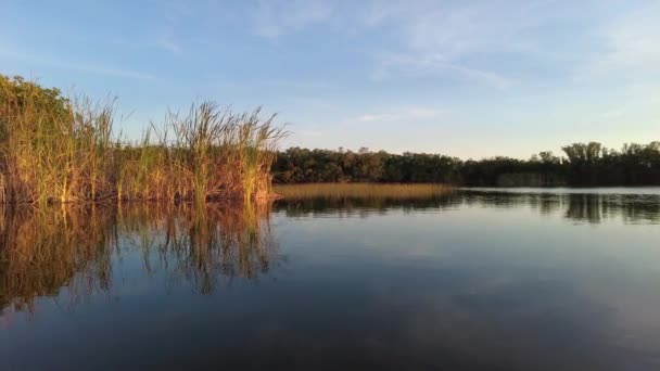 Por la tarde kayak en Nine Mile Pond en Everglades National Park, Florida 4K. — Vídeo de stock