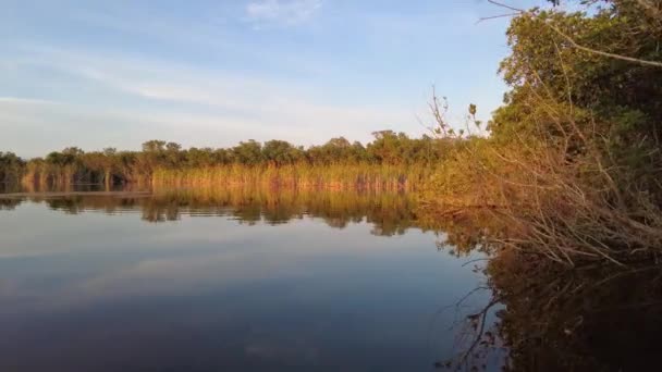 Popołudniowe spływy kajakowe na Nine Mile Pond w Parku Narodowym Everglades, Floryda 4K. — Wideo stockowe