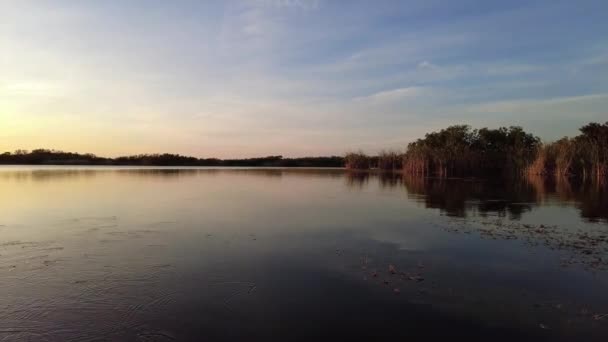 Eftermiddagskajakpaddling på Nio Mile Pond i Everglades nationalpark, Florida 4K. — Stockvideo