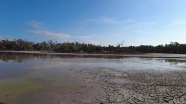 Everglades Ulusal Parkı 'ndaki Eco Pond' da sabahın erken saatlerinde, Florida 4K.