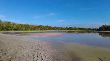 Everglades Ulusal Parkı 'ndaki Eco Pond' da sabahın erken saatlerinde, Florida 4K.