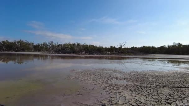 Luz de la mañana en Eco Pond en el Parque Nacional Everglades, Florida 4K. — Vídeos de Stock