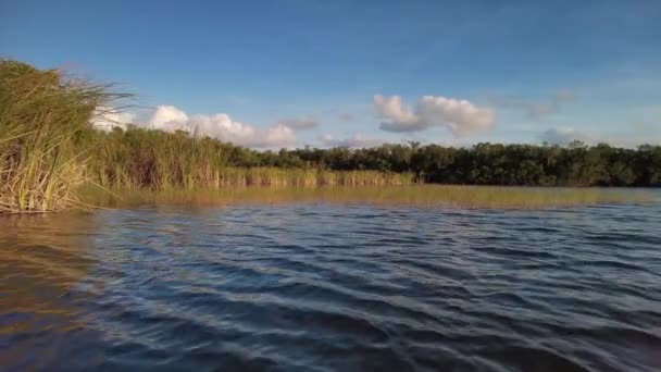Por la tarde kayak en Nine Mile Pond en Everglades National Park, Florida 4K. — Vídeo de stock