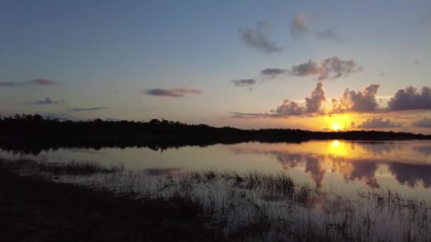 Wschód słońca nad stawem Nine Mile w Parku Narodowym Everglades, Floryda 4K. — Wideo stockowe