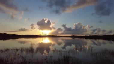Everglades Ulusal Parkı 'ndaki Nine Mile Pond üzerinde gün doğumunun zamanı 4K.