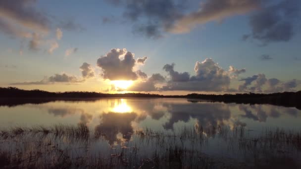 Calendário do nascer do sol sobre Nine Mile Pond em Everglades National Park 4K. — Vídeo de Stock