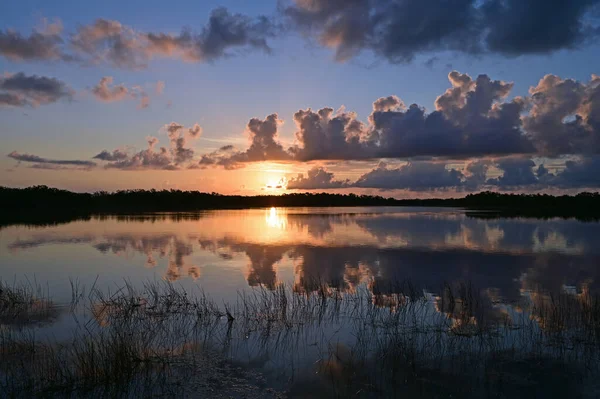 Alba variopinta sopra Nine Mile Pond nel Parco Nazionale delle Everglades, Florida. — Foto Stock