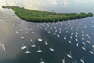 Aerial view Dinner Key Marina and anchorage in Coconut Grove, Miami, Florida
