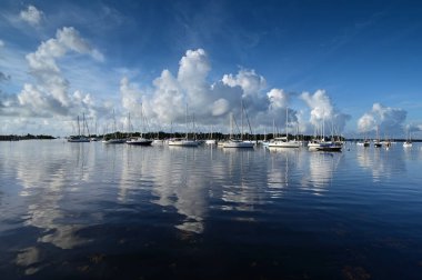 Miami, Florida 'daki Yemek Anahtarı' nın sakin sularına yansıyan yaz bulutları.