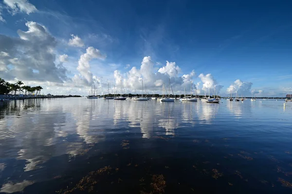 Letní oblačnost se odráží v klidné vodě Dinner Key v Miami na Floridě. — Stock fotografie