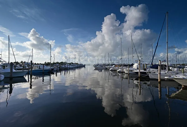 Το καλοκαιρινό cloudscape αντανακλάται στα ήρεμα νερά του Dinner Key στο Μαϊάμι της Φλόριντα. — Φωτογραφία Αρχείου