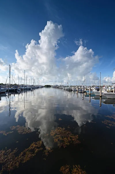 Letni chmurny krajobraz odzwierciedlony w spokojnej wodzie Kolacja Key w Miami, Floryda. — Zdjęcie stockowe