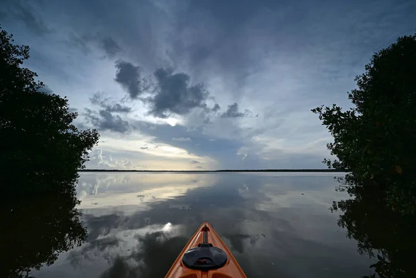 Kayak bow amidst mangrove trees of Coot Bay in Everglades National Park. — Stock Fotó