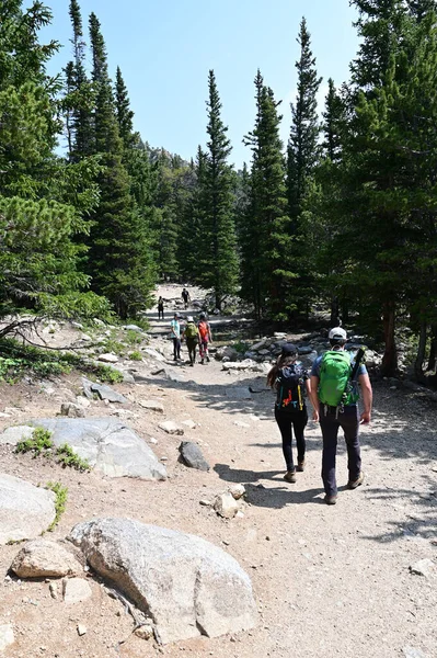 Les randonneurs montent le sentier du glacier Saint Marys dans la forêt nationale d'Arapaho, Colorado. — Photo