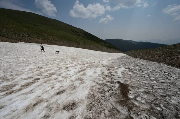 Esquiador y perro ascienden al Glaciar St Marys en Arapaho Natl Forest, Colorado. —  Fotos de Stock