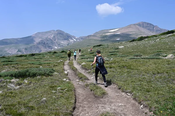 Wandelaars op pad in alpine toendra boven St Marys gletsjer en boomgrens, Colorado. — Stockfoto