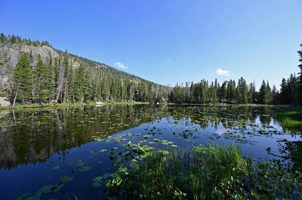 Danau Nymph di Rocky Mountain National Park, Colorado pada musim panas. — Stok Foto