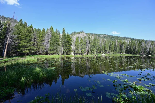 Danau Nymph di Rocky Mountain National Park, Colorado pada musim panas. — Stok Foto