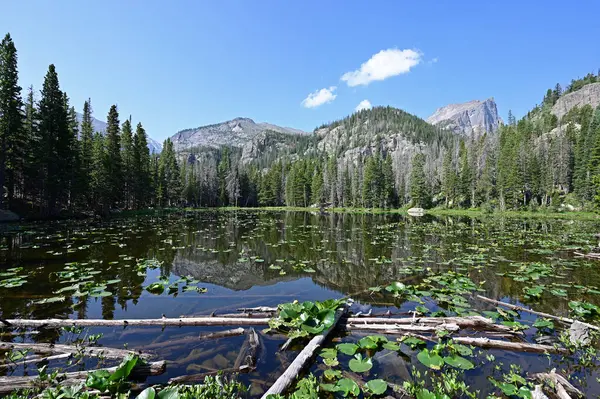 Danau Nymph di Rocky Mountain National Park, Colorado pada musim panas. — Stok Foto