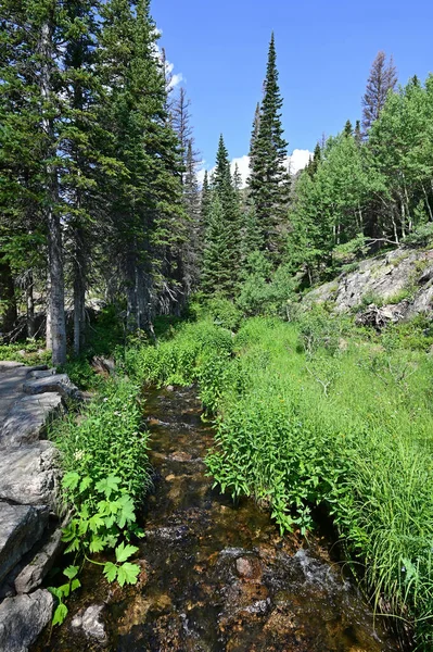 Arroyo claro de montaña en el Parque Nacional de las Montañas Rocosas, Colorado. — Foto de Stock