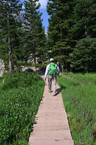 Jonge man wandelt Emerald Lake Trail in Rocky Mountain National Park, Colorado. — Stockfoto