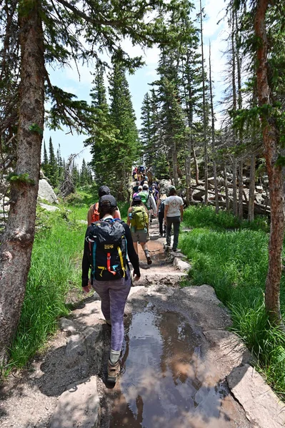 Randonneurs sur le sentier surpeuplé du lac Emerald dans le parc Natl des Rocheuses en été. — Photo