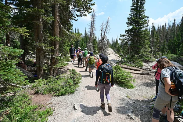 Wandelaars op overvolle Emerald Lake Trail in Rocky Mountain Natl Park in de zomer. — Stockfoto