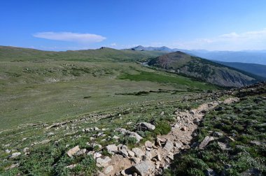 İndian Peaks Wilderness 'daki Yüksek Yalnızlık Yolu' nda ağaç sınırının üzerindeki alp tundrası..