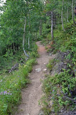 Arapaho Ulusal Ormanı 'ndaki Hassell Gölü Yolu, Colorado.