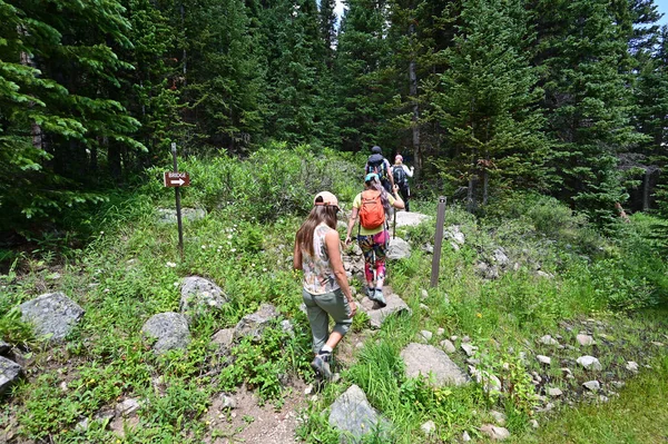 Wandelaars op Hassell Lake Trail in Arapaho National Forest, Colorado. — Stockfoto