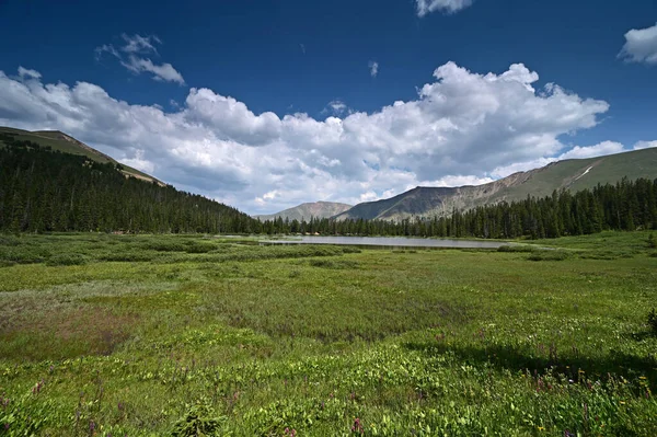 Lago Hassell en el Bosque Nacional Arapaho, Colorado bajo el paisaje nublado de verano. — Foto de Stock