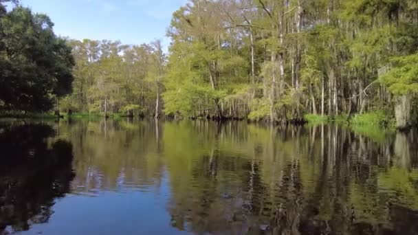 Seint på sommeren padler kajakk ved Fisheating Creek nær Palmdale, Florida 4K.. – stockvideo