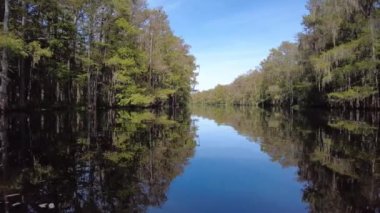 Yazın sonlarında Florida, Palmdale yakınlarındaki Fisheating Creek 'te kayak yaparken..