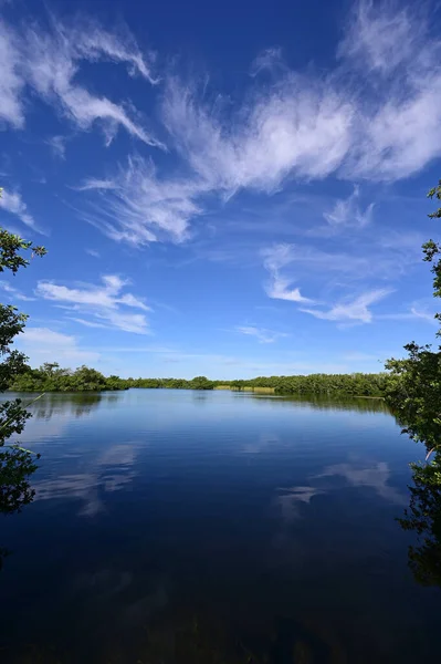 Piękny letni chmurny krajobraz nad stawem Paurotis w Parku Narodowym Everglades. — Zdjęcie stockowe