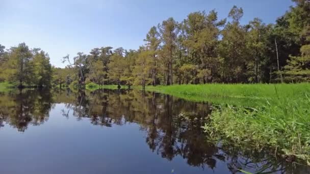 Yazın sonlarında Florida, Palmdale yakınlarındaki Fisheating Creek 'te kayak yaparken.. — Stok video