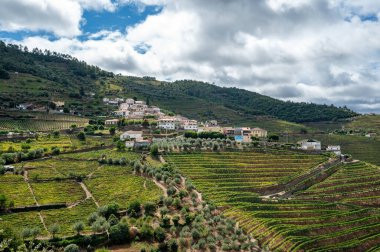 Portekiz 'de sonbahar bulutları altında Douro Vadisi şarap bölgesinin teraslı üzüm bağları arasında küçük bir köy...