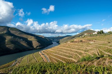 Douro Nehri, Portekiz 'in Douro Vadisi şarap bölgesinin şaraphaneleri ve teraslı üzüm bağları canlı sonbahar bulutları altında..