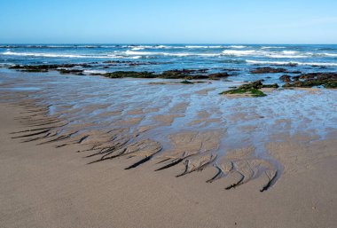 Praia de Canide, Canide Sahili, Portekiz 'in kuzey kıyısında, Vila Nova de Gaia' da dramatik sonbahar bulutları altında.